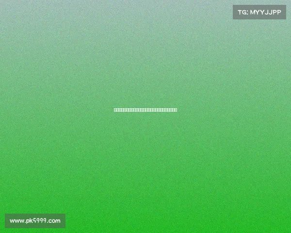 广西平果队务黄浩因不当行为禁入体育场两场并罚款两万元